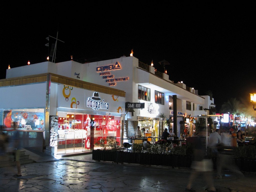 2008 Camel bar.JPG